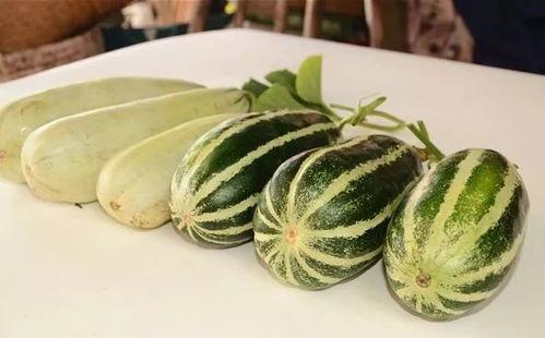 吃免费瓜,共享甜蜜，品味生活  第2张